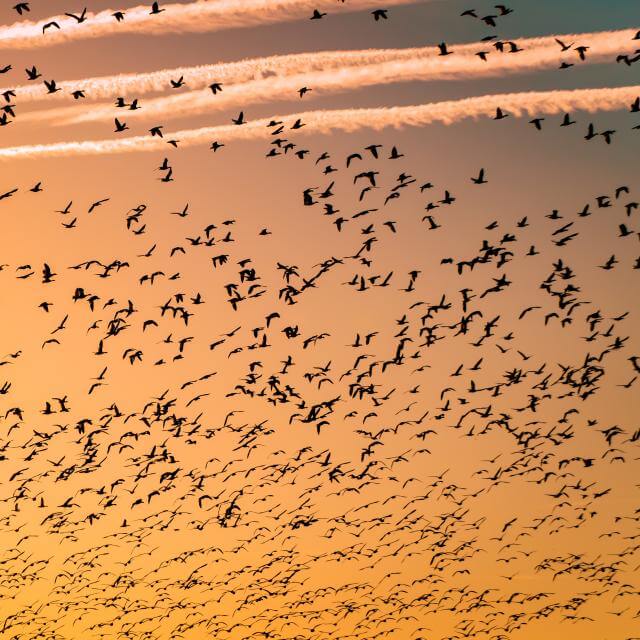 Photo by Barth Bailey on Unsplash